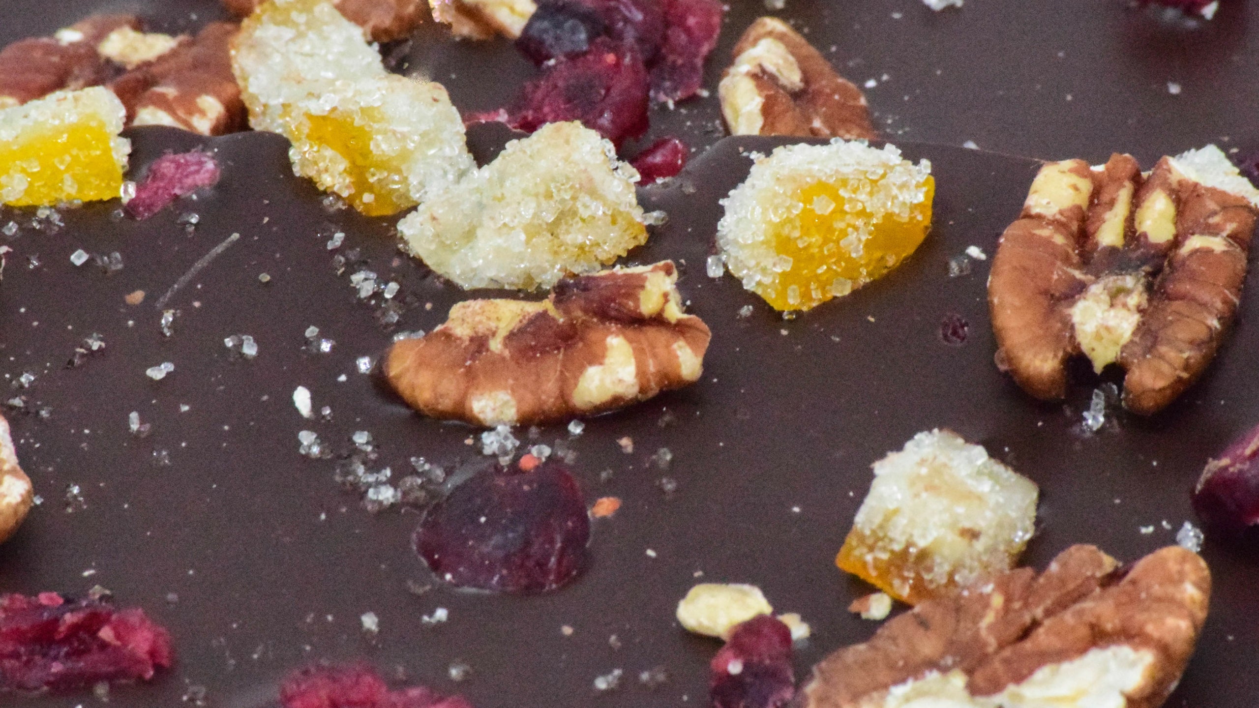 Dark Chocolate Bark with Pecans, Cranberries & Candied Orange Peel (4 oz.)