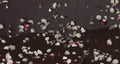 Dark Chocolate Bark with Peppermint Candy (4 oz.)