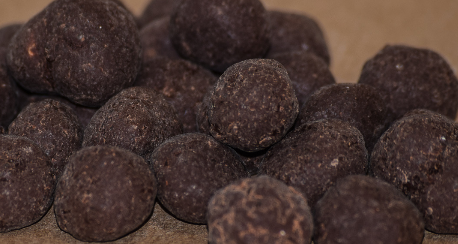 Macadamia Bites with Dark Chocolate